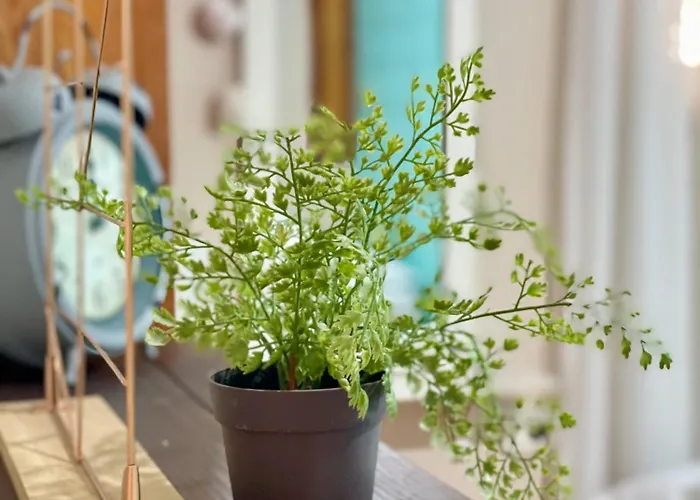 X 6 People ティラナ