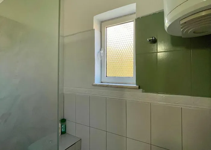 X 6 People * ティラナ